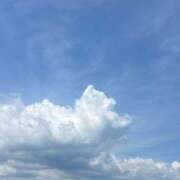 ヒメ日記 2025/08/15 17:57 投稿 しらゆり スピード日本橋店