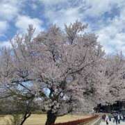 ヒメ日記 2025/04/08 17:47 投稿 りな しゃぼんくらぶ一番館