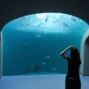 ヒメ日記 2025/08/25 07:08 投稿 りな しゃぼんくらぶ一番館