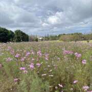 ヒメ日記 2025/10/31 07:00 投稿 りな しゃぼんくらぶ一番館