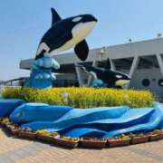 ヒメ日記 2025/03/23 21:25 投稿 斉藤 みほ こあくまな熟女たち 千葉店（KOAKUMAグループ）