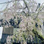 ヒメ日記 2025/04/14 19:24 投稿 斉藤 みほ こあくまな熟女たち 千葉店（KOAKUMAグループ）