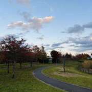 ヒメ日記 2025/11/17 09:14 投稿 斉藤 みほ こあくまな熟女たち 千葉店（KOAKUMAグループ）