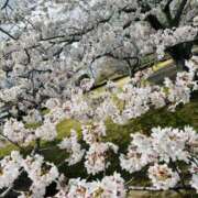 ヒメ日記 2026/03/31 09:39 投稿 斉藤 みほ こあくまな熟女たち 千葉店（KOAKUMAグループ）