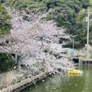 斉藤 みほ 4月の出勤予定 こあくまな熟女たち 千葉店（KOAKUMAグループ）