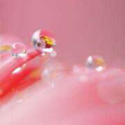 ヒメ日記 2025/05/24 07:23 投稿 川端　葵 熟女パラダイス池袋店(カサブランカグループ)