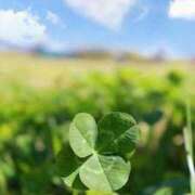 ヒメ日記 2025/07/05 01:40 投稿 川端　葵 熟女パラダイス池袋店(カサブランカグループ)