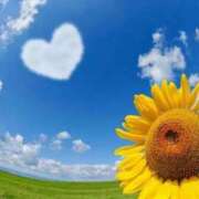 ヒメ日記 2025/07/19 01:08 投稿 川端　葵 熟女パラダイス池袋店(カサブランカグループ)