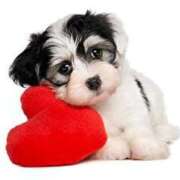 川端　葵 ８日(土)リクエスト 熟女パラダイス池袋店(カサブランカグループ)