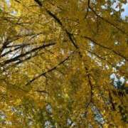 ヒメ日記 2025/12/18 11:31 投稿 ゆりあ ヌクトコ池袋店