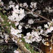 ヒメ日記 2025/03/31 21:05 投稿 りな バニラシュガー古河店