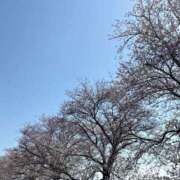 ヒメ日記 2025/04/12 13:55 投稿 りな バニラシュガー古河店