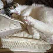 ヒメ日記 2024/12/26 02:41 投稿 紅蘭（くらん） 熟女の風俗最終章 大宮店