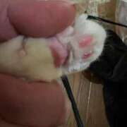 ヒメ日記 2025/01/07 17:39 投稿 紅蘭（くらん） 熟女の風俗最終章 大宮店