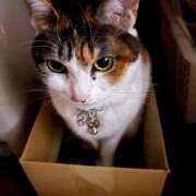 ヒメ日記 2025/03/09 08:19 投稿 紅蘭（くらん） 熟女の風俗最終章 大宮店