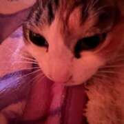 ヒメ日記 2025/03/22 16:59 投稿 紅蘭（くらん） 熟女の風俗最終章 大宮店