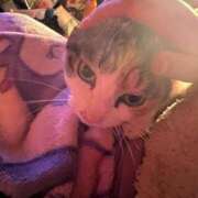 ヒメ日記 2025/04/07 04:07 投稿 紅蘭（くらん） 熟女の風俗最終章 大宮店