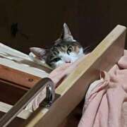 ヒメ日記 2025/05/09 20:37 投稿 紅蘭（くらん） 熟女の風俗最終章 大宮店