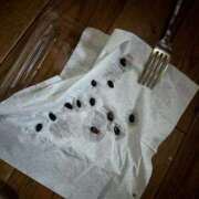 ヒメ日記 2025/05/22 11:05 投稿 紅蘭（くらん） 熟女の風俗最終章 大宮店