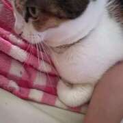 ヒメ日記 2025/06/20 11:25 投稿 紅蘭（くらん） 熟女の風俗最終章 大宮店