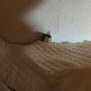 ヒメ日記 2025/06/22 16:55 投稿 紅蘭（くらん） 熟女の風俗最終章 大宮店