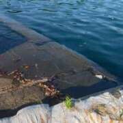 ヒメ日記 2025/06/30 20:55 投稿 紅蘭（くらん） 熟女の風俗最終章 大宮店