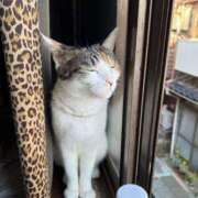 ヒメ日記 2025/07/17 11:55 投稿 紅蘭（くらん） 熟女の風俗最終章 大宮店