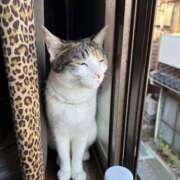 ヒメ日記 2025/07/25 06:45 投稿 紅蘭（くらん） 熟女の風俗最終章 大宮店