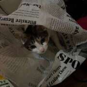 ヒメ日記 2025/08/06 18:25 投稿 紅蘭（くらん） 熟女の風俗最終章 大宮店