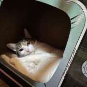 ヒメ日記 2025/08/08 15:25 投稿 紅蘭（くらん） 熟女の風俗最終章 大宮店