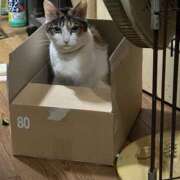 ヒメ日記 2025/08/10 10:06 投稿 紅蘭（くらん） 熟女の風俗最終章 大宮店