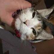 ヒメ日記 2025/08/30 17:07 投稿 紅蘭（くらん） 熟女の風俗最終章 大宮店