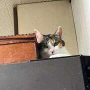 ヒメ日記 2025/09/07 19:25 投稿 紅蘭（くらん） 熟女の風俗最終章 大宮店