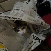 ヒメ日記 2025/09/20 12:25 投稿 紅蘭（くらん） 熟女の風俗最終章 大宮店