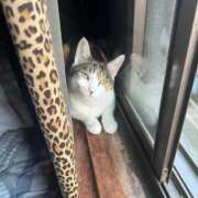 ヒメ日記 2025/09/22 20:15 投稿 紅蘭（くらん） 熟女の風俗最終章 大宮店