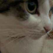 ヒメ日記 2025/10/06 20:25 投稿 紅蘭（くらん） 熟女の風俗最終章 大宮店