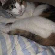 ヒメ日記 2025/10/09 11:25 投稿 紅蘭（くらん） 熟女の風俗最終章 大宮店