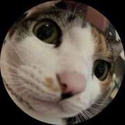 ヒメ日記 2025/10/12 09:50 投稿 紅蘭（くらん） 熟女の風俗最終章 大宮店