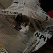 ヒメ日記 2025/10/22 20:25 投稿 紅蘭（くらん） 熟女の風俗最終章 大宮店