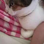 ヒメ日記 2025/10/23 05:55 投稿 紅蘭（くらん） 熟女の風俗最終章 大宮店