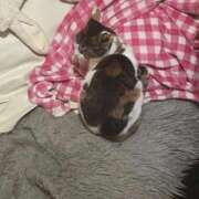 ヒメ日記 2025/11/07 18:31 投稿 紅蘭（くらん） 熟女の風俗最終章 大宮店