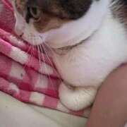 ヒメ日記 2025/11/10 12:26 投稿 紅蘭（くらん） 熟女の風俗最終章 大宮店