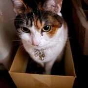 ヒメ日記 2025/11/15 10:33 投稿 紅蘭（くらん） 熟女の風俗最終章 大宮店