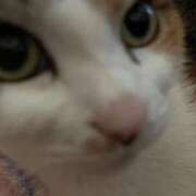 ヒメ日記 2025/11/16 09:45 投稿 紅蘭（くらん） 熟女の風俗最終章 大宮店