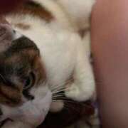 ヒメ日記 2025/11/20 20:27 投稿 紅蘭（くらん） 熟女の風俗最終章 大宮店