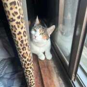 ヒメ日記 2025/11/23 09:37 投稿 紅蘭（くらん） 熟女の風俗最終章 大宮店