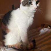 ヒメ日記 2025/11/30 11:10 投稿 紅蘭（くらん） 熟女の風俗最終章 大宮店