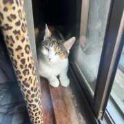 紅蘭（くらん） 受付終了しました🙏 熟女の風俗最終章 大宮店