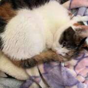 ヒメ日記 2025/12/18 17:09 投稿 紅蘭（くらん） 熟女の風俗最終章 大宮店