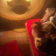 ヒメ日記 2026/01/05 17:18 投稿 紅蘭（くらん） 熟女の風俗最終章 大宮店